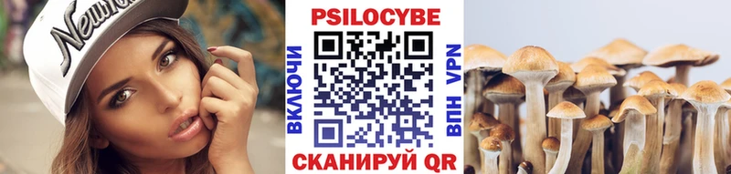 Галлюциногенные грибы мицелий  Мензелинск 